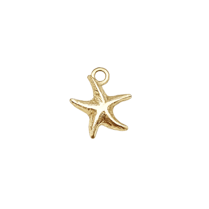 Gold Starfish Charm | Multiple Size Options Charm bar