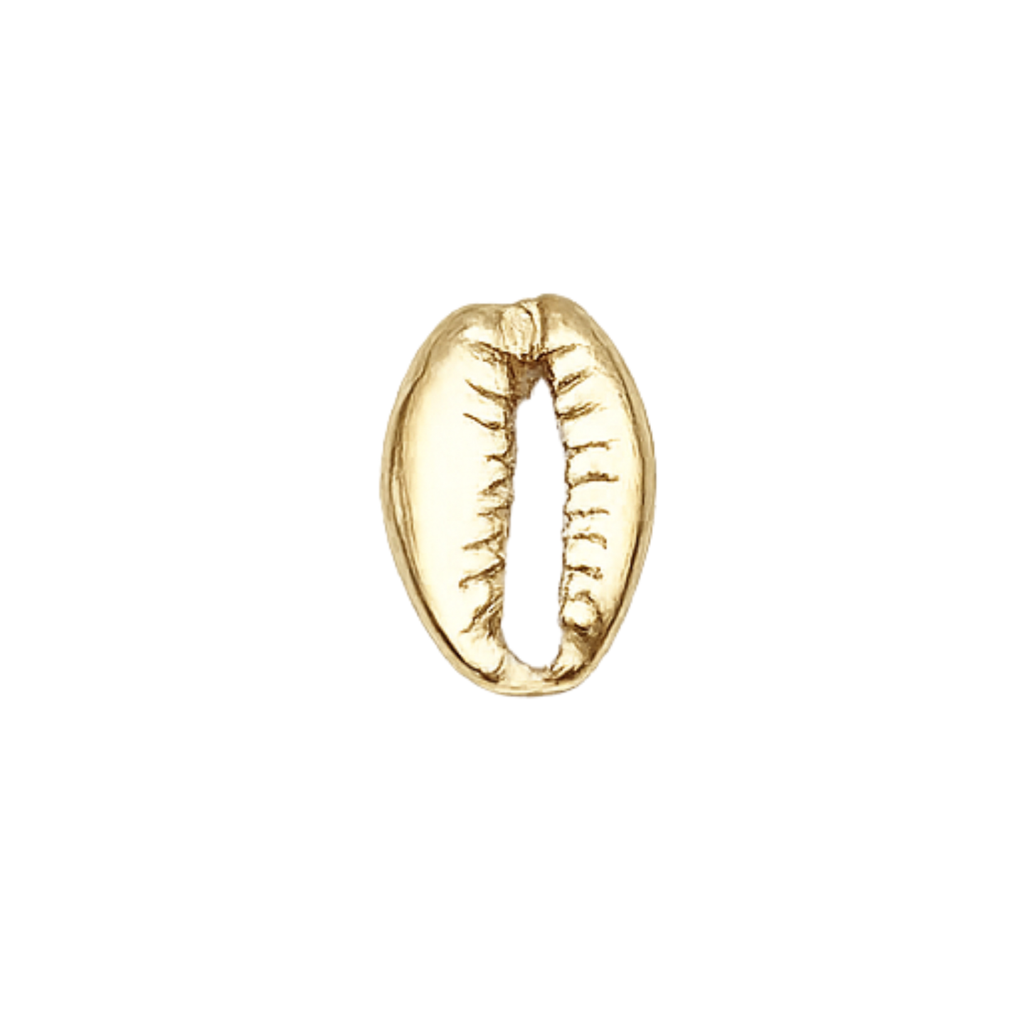 Cowrie Shell Charm | Gold Ocean Charm