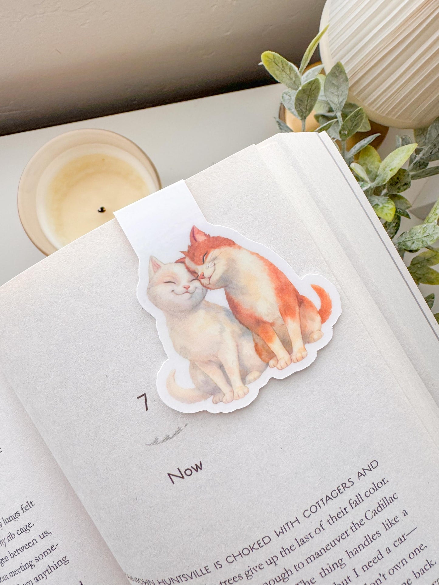 Princess Pauper Magnetic Bookmarks